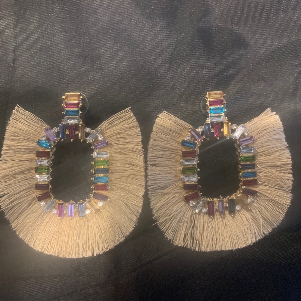 Earrings